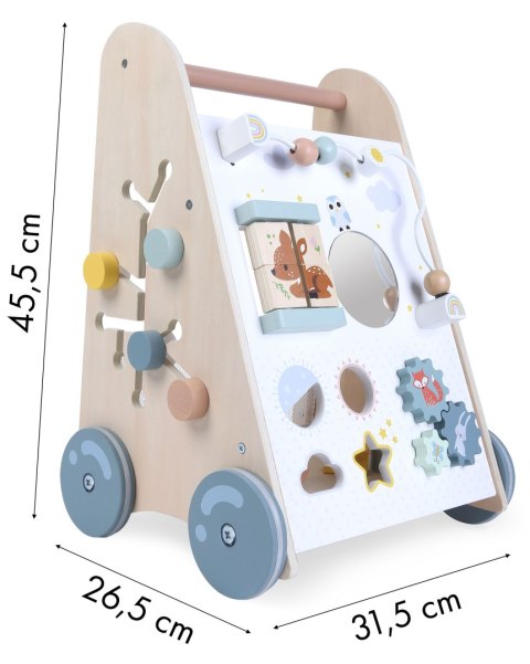 Drewniany Chodzik Pchacz z Sorterem i Klockami ECOTOYS