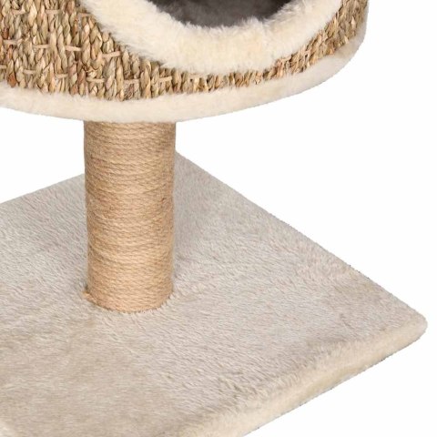 Drapak dla kota z legowiskiem i trawą morską – 52 cm, kompaktowy design Drapak dla kota z legowiskiem i trawą morską – 52 cm, kompaktowy design