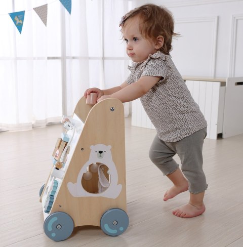 Drewniany Chodzik Pchacz z Sorterem i Klockami ECOTOYS
