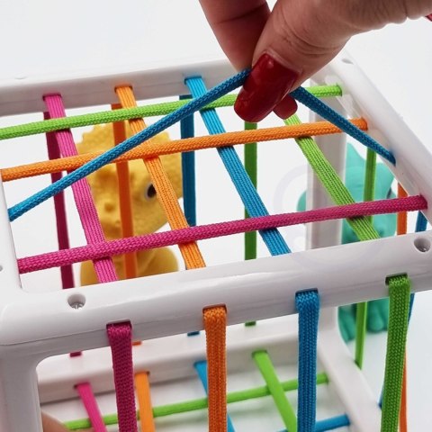Elastyczna Kostka Sensoryczna od marki WOOPIE Dinozaury 6 el. Elastyczna Kostka Sensoryczna od marki WOOPIE Dinozaury 6 el.