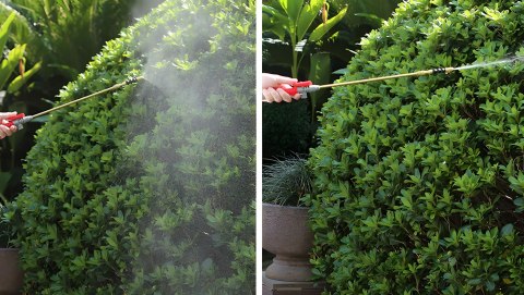 Opryskiwacz Ciśnieniowy Ogrodowy 8L – Regulowana Dysza, Pasek Na Ramię MultiGarden Opryskiwacz Ciśnieniowy Ogrodowy 8L – Regulowana Dysza, Pasek Na Ramię MultiGarden