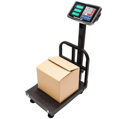 Elektroniczna Waga Magazynowa LCD 200 kg – Akumulator, Stal Nierdzewna, Składana Elektroniczna Waga Magazynowa LCD 200 kg – Akumulator, Stal Nierdzewna, Składana