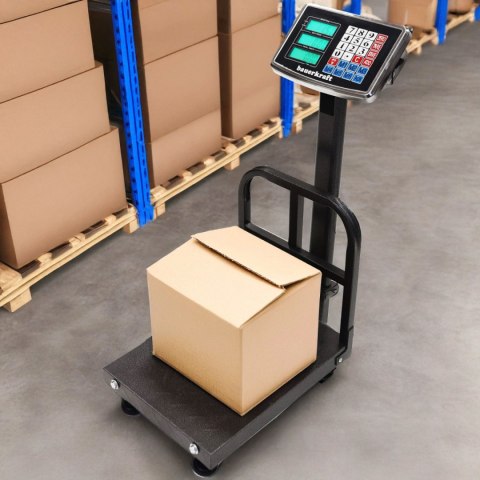 Elektroniczna Waga Magazynowa LCD 200 kg – Akumulator, Stal Nierdzewna, Składana Elektroniczna Waga Magazynowa LCD 200 kg – Akumulator, Stal Nierdzewna, Składana