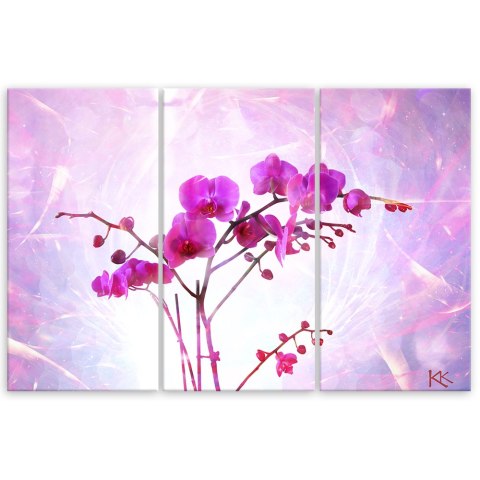 Tryptyk, obraz na płótnie, Różowa orchidea - 150x100 Tryptyk, obraz na płótnie, Różowa orchidea - 150x100