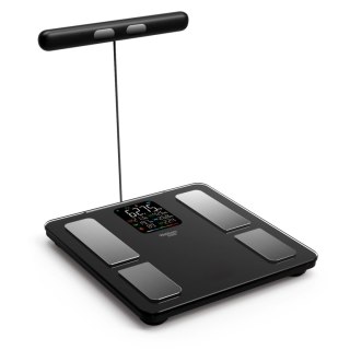 Analityczna Waga Łazienkowa WEBBER – Bluetooth, Analiza Składu Ciała, LCD, 180kg