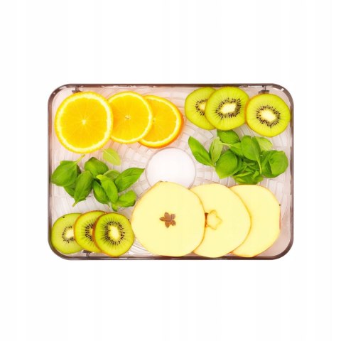 Suszarka Do Warzyw, Owoców, Ziół , Grzybów Webber IDEAL - 5 Poziomów, 400 W